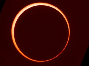 Nhật thực hình khuyên. Nhật thực hình khuyên. Nguồn: Internet