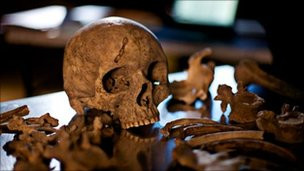 Hộp sọ và một số vật dụng khác của người La Mã