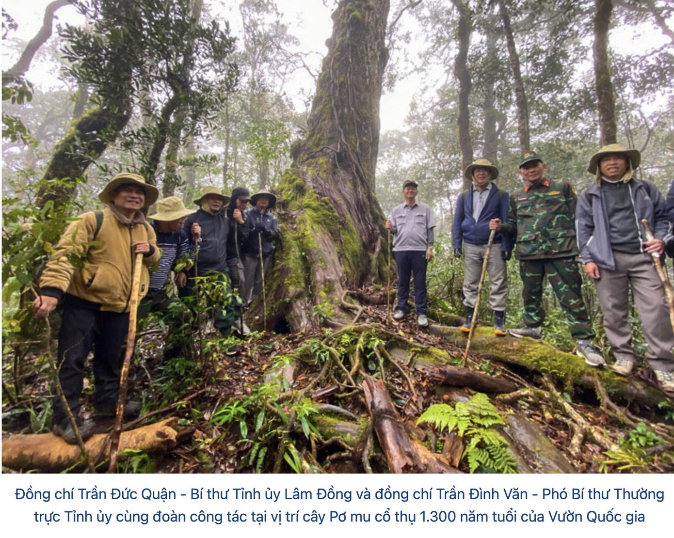 Ảnh Báo Lâm Đồng