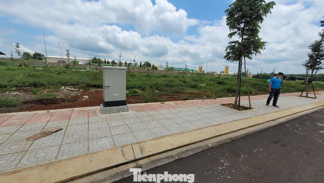 Dự án của Cty Ân Phú được UBND tỉnh Đắk Lắk giao 19,5 ha có nguồn gốc từ công ty cao su nhưng không thông qua đấu giá