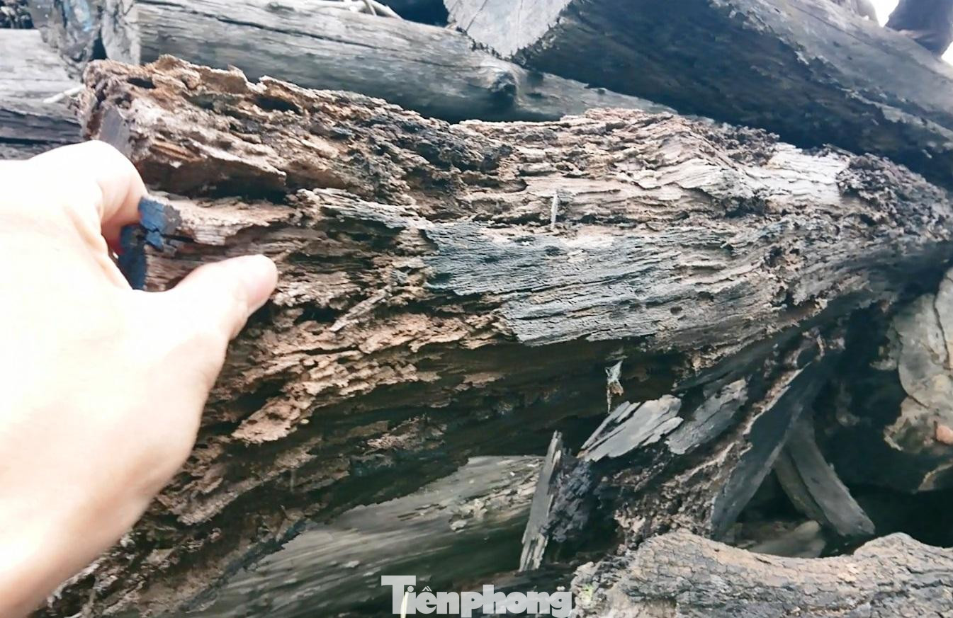 Phần lớn gỗ không còn giá trị sử dụng Phần lớn gỗ không còn giá trị sử dụng