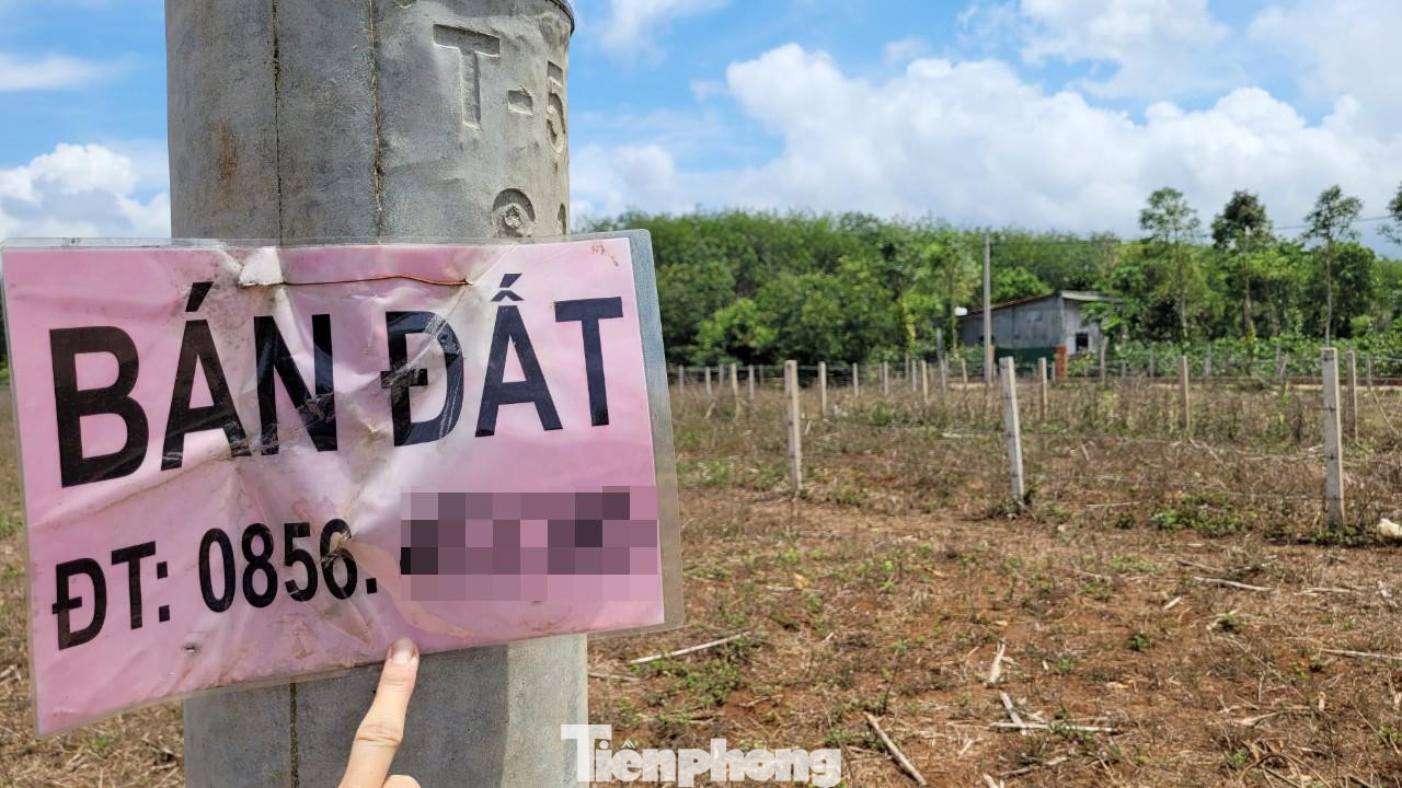 Người dân rao bán đất tại khu vực hồ Ea Nhái, xã Cuôr Đăng - nơi đồn đoán có dự án 10.000 tỷ đồng Người dân rao bán đất tại khu vực hồ Ea Nhái, xã Cuôr Đăng - nơi đồn đoán có dự án 10.000 tỷ đồng