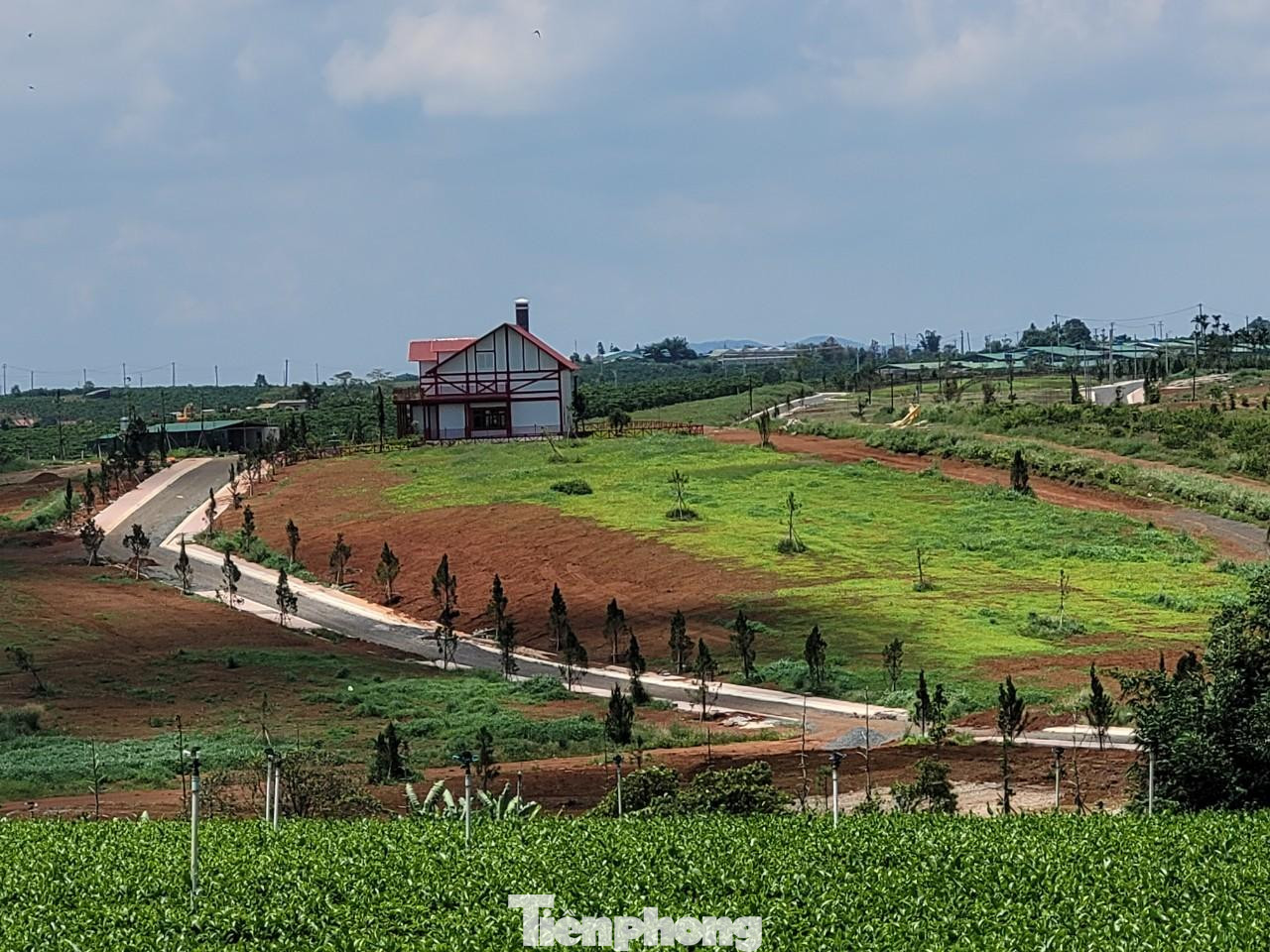 Dự án bất động sản "ma" mang tên Làng sinh thái La Melodie trên quả đồi rộng 36ha này đang rao bán công khai trên mạng Dự án bất động sản "ma" mang tên Làng sinh thái La Melodie trên quả đồi rộng 36ha này đang rao bán công khai trên mạng