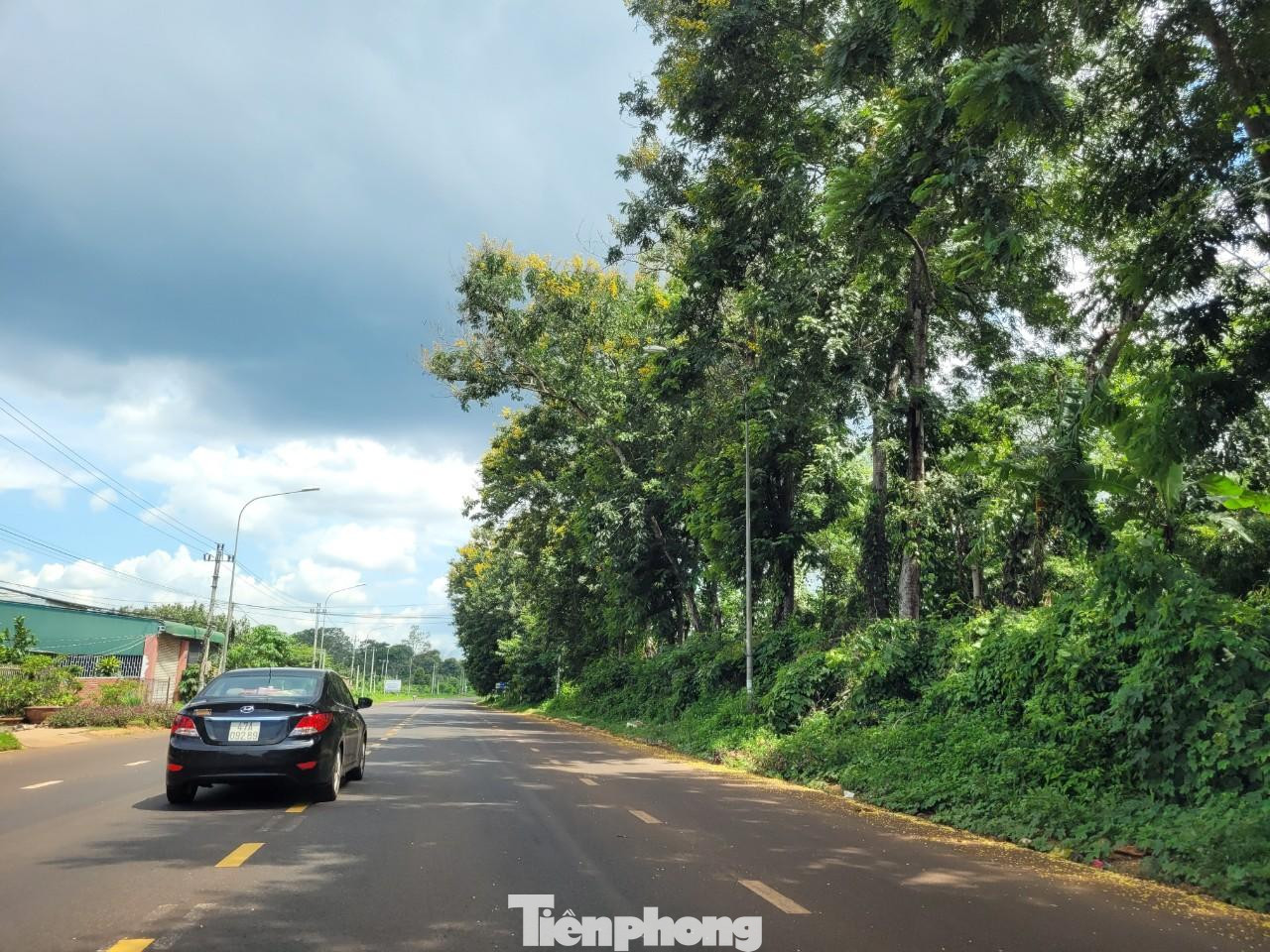 Tỉnh lộ 8, đoạn qua xã Cư Suê, huyện Cư M'gar đã làm xong từ lâu