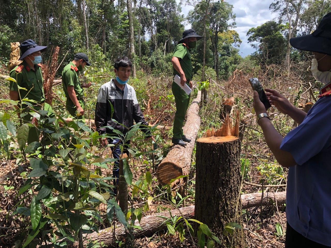 Dẫn giải nhóm đối tượng đến hiện trường