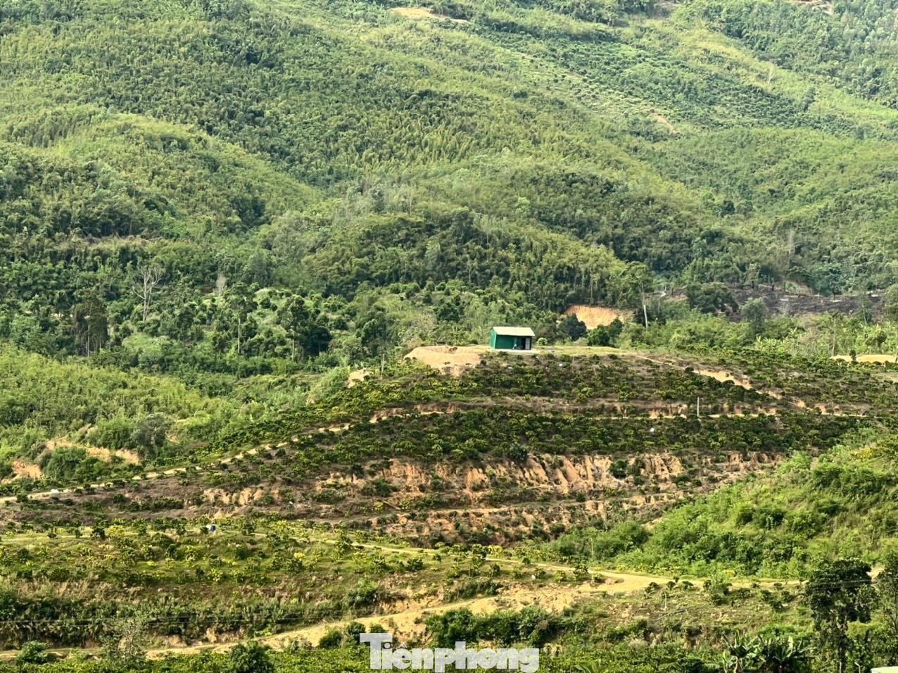 Hiện trạng khu đất cấp cho gia đình ông Sơn