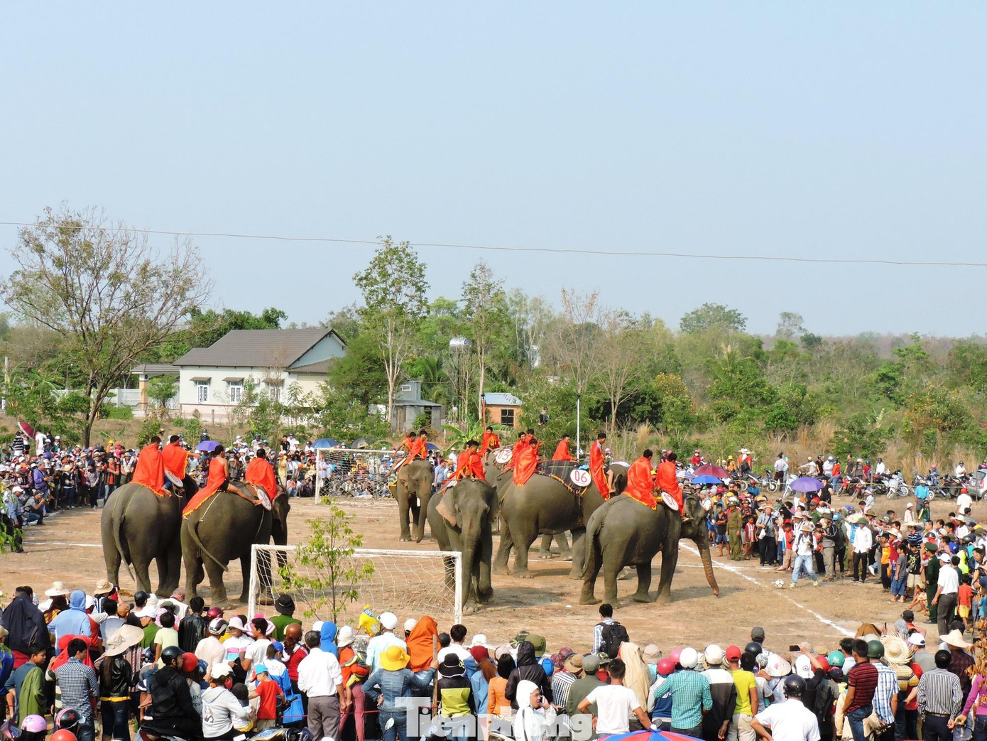 Hòa chung vào các hoạt động lễ hội đua voi, ở huyện Buôn Đôn sẽ có các hoạt động khác, như lễ cúng Nước, lễ cúng sức khỏe cho Voi, lễ ăn trâu mừng mùa (Lễ đâm trâu), lễ hội văn hoá các dân tộc huyện Buôn Đôn,... Hòa chung vào các hoạt động lễ hội đua voi, ở huyện Buôn Đôn sẽ có các hoạt động khác, như lễ cúng Nước, lễ cúng sức khỏe cho Voi, lễ ăn trâu mừng mùa (Lễ đâm trâu), lễ hội văn hoá các dân tộc huyện Buôn Đôn,...