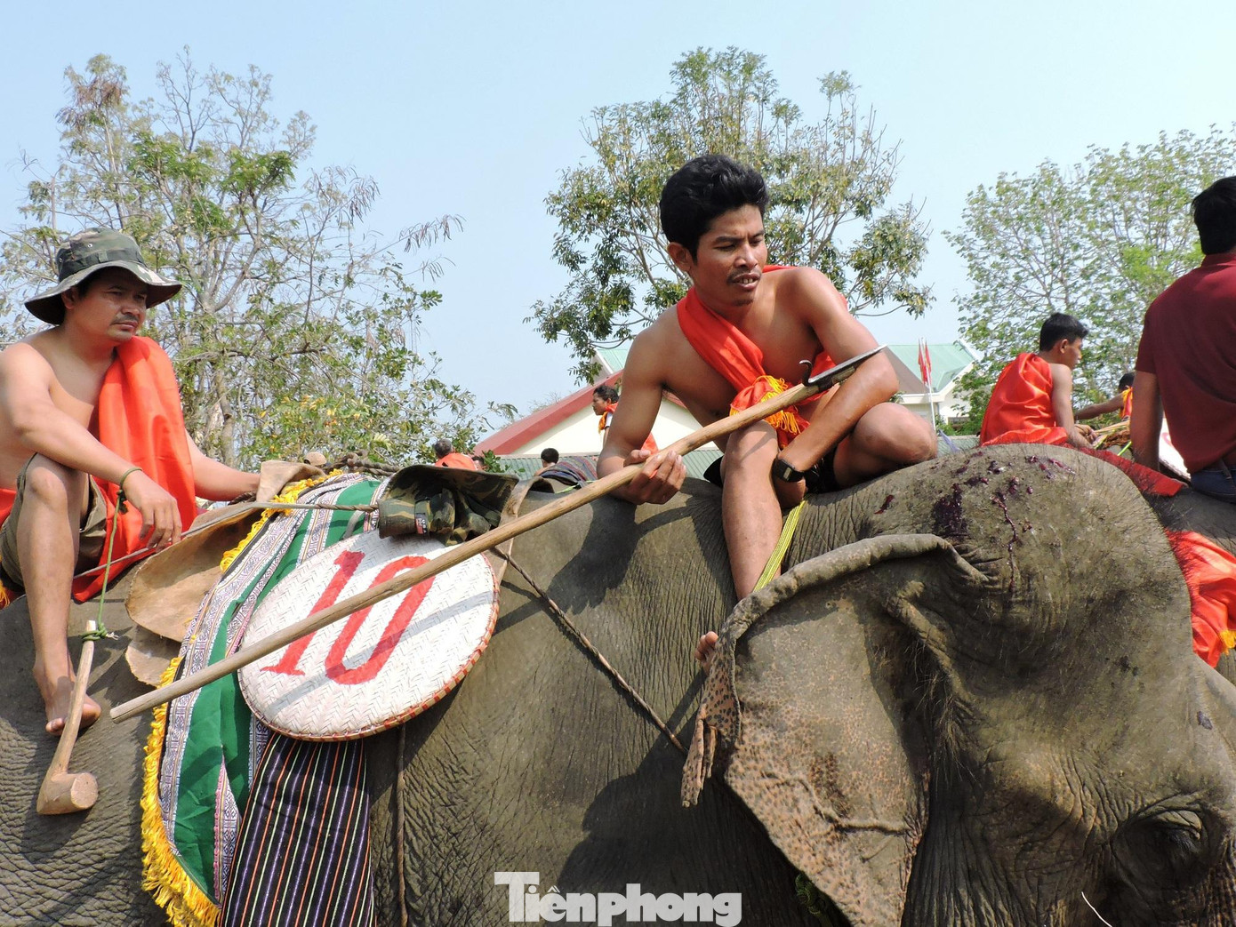 Hội đua voi ở Tây Nguyên được tổ chức 2 năm một lần tại “thủ phủ” voi ở huyện Buôn Đôn vào tháng 3 hàng năm. Đây là dịp để quy tụ, tôn vinh trí tuệ, sức mạnh, sự khéo léo của những nhà thuần dưỡng voi người M’Nông. Dịp này, cộng đồng các dân tộc ở Tây Nguyên cũng đã hoàn thành các vụ thu hoạch (cà phê, tiêu và các loại nông sản khác). Người dân có khoảng thời gian nghỉ ngơi để tổ chức lễ hội như một hình thức ăn mừng, cầu bình an, cầu cho mùa màng bội thu trong năm mới. Hội đua voi ở Tây Nguyên được tổ chức 2 năm một lần tại “thủ phủ” voi ở huyện Buôn Đôn vào tháng 3 hàng năm. Đây là dịp để quy tụ, tôn vinh trí tuệ, sức mạnh, sự khéo léo của những nhà thuần dưỡng voi người M’Nông. Dịp này, cộng đồng các dân tộc ở Tây Nguyên cũng đã hoàn thành các vụ thu hoạch (cà phê, tiêu và các loại nông sản khác). Người dân có khoảng thời gian nghỉ ngơi để tổ chức lễ hội như một hình thức ăn mừng, cầu bình an, cầu cho mùa màng bội thu trong năm mới.