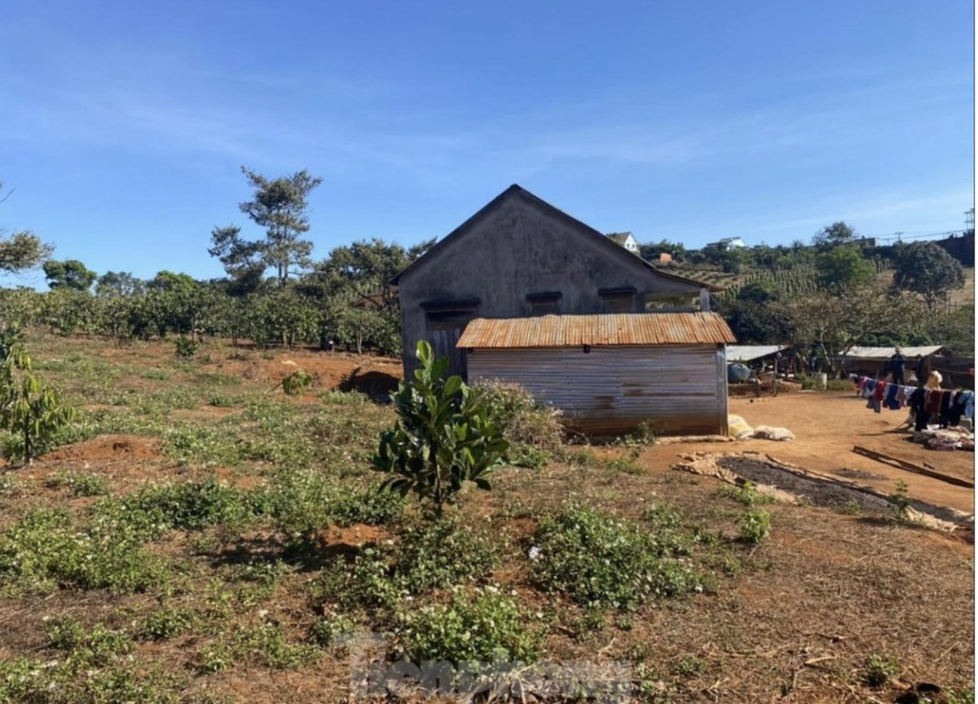 Phần đất cấp cho hộ ông Nguyễn Thanh Sơn ở Đắk Song