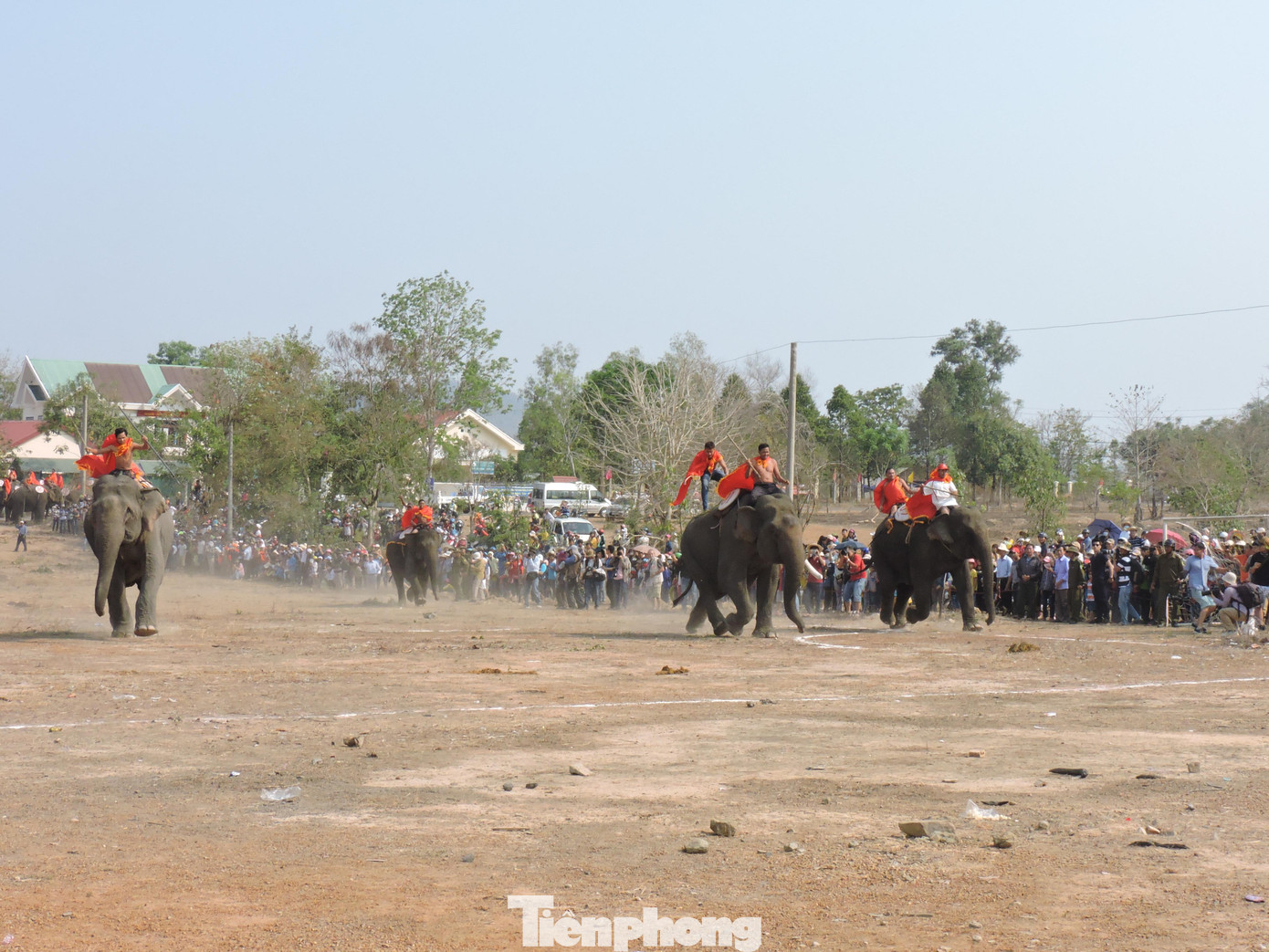 Những chú voi trên đường về đích Những chú voi trên đường về đích