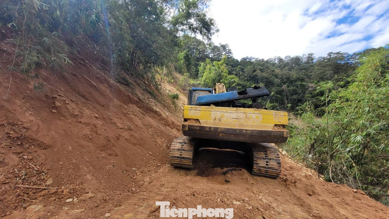 Máy múc tại lâm phần của Vườn quốc gia Bidoup - Núi Bà