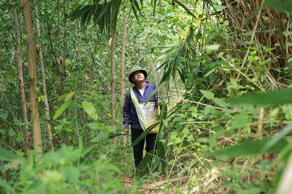 Đến mùa chính vụ, hàng trăm người dân ở các địa bàn huyện Krông Bông, M'đrắk… cùng đi hái “lộc trời”, tăng thu nhập. Để hái bông đót, người dân phải dậy từ sáng sớm, chuẩn bị thức ăn, nước uống, những dụng cụ cần thiết như dao rựa, bao tay, dây buộc… và ít dầu gió để phòng côn trùng đốt. Đót thường mọc trên núi cao, nơi vách đá.