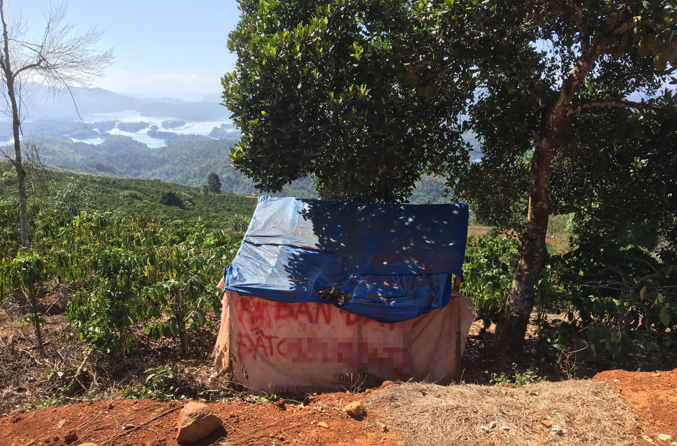 Hỗn loạn mua bán đất ở khu vực Tà Đùng