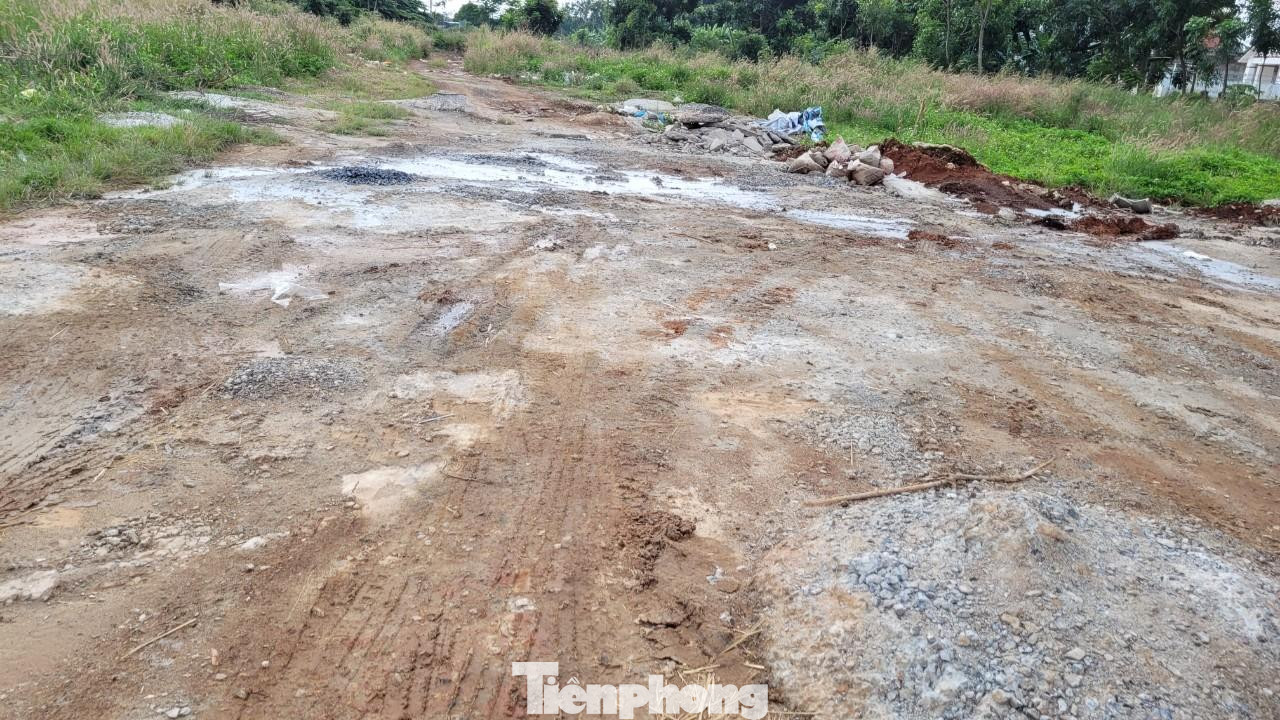 Khối bê tông ở bãi đất trống đã đông cứng do công ty bê tông Long Phát xả thải Khối bê tông ở bãi đất trống đã đông cứng do công ty bê tông Long Phát xả thải