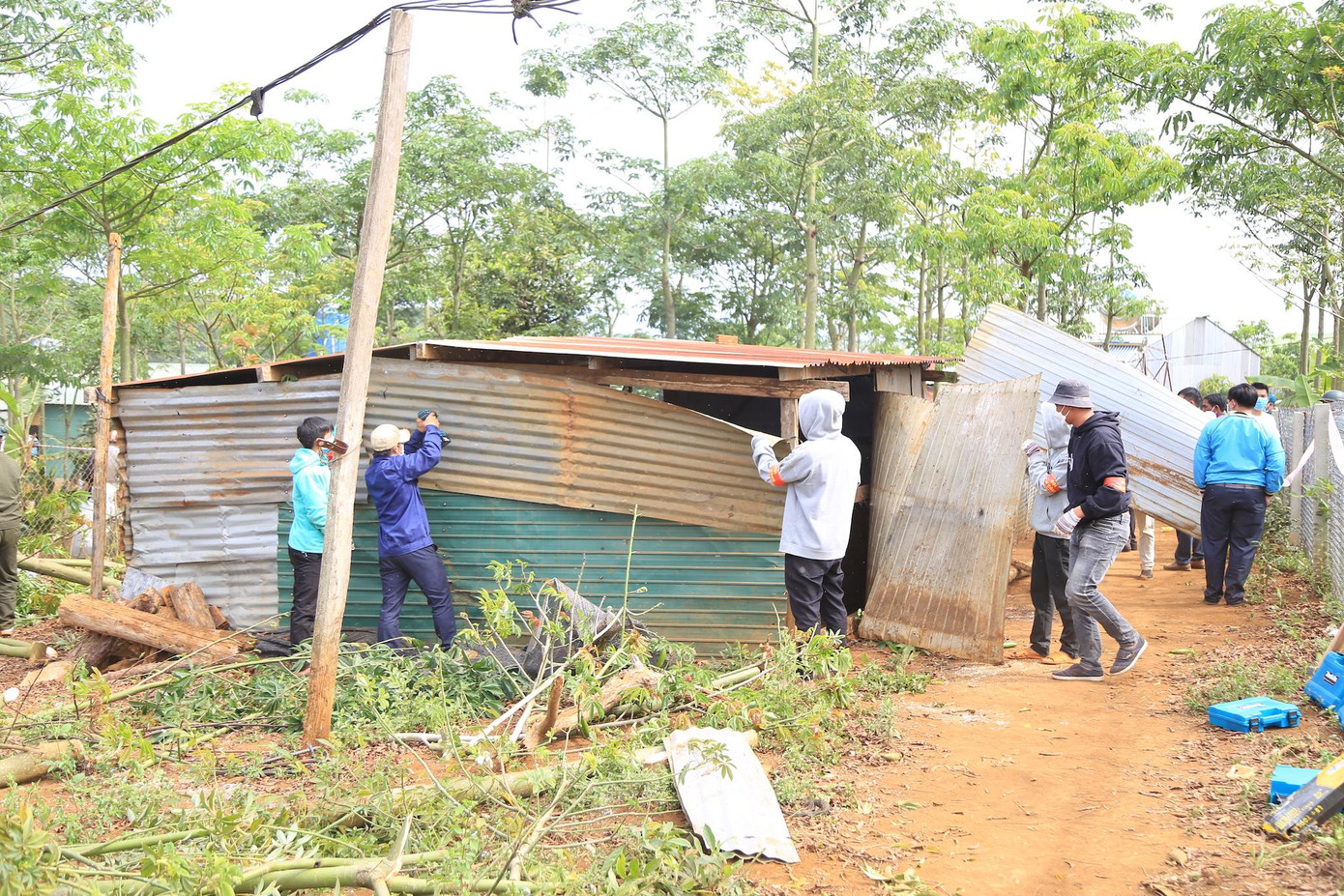 Cưỡng chế phần đất lấn chiếm trên lâm phần Cưỡng chế phần đất lấn chiếm trên lâm phần