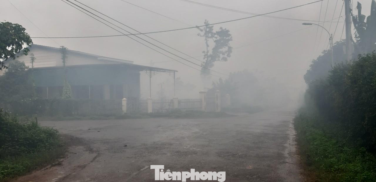 Thống kê của Phòng Tài nguyên và Môi trường huyện Đắk Mil, Đắk Nông, toàn huyện hiện có khoảng 350 lò sấy đang hoạt động, tập trung chủ yếu tại các xã Đắk Sắk với 91 lò, Đức Mạnh 88 lò, Thuận An 80 lò, Đắk Lao 45 lò, Đức Minh 30 lò… Những địa bàn gần Quốc lộ 14, đã xả khói liên tục, không chỉ làm ảnh hưởng đến khu dân cư mà còn cản trở giao thông.