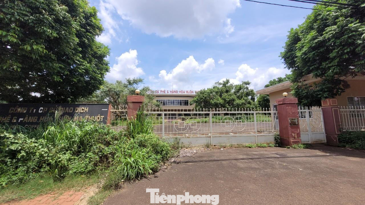 UBND tỉnh Đắk Lắk đang rao bán Trung tâm Giao dịch cà phê Buôn Ma Thuột (cũ)
