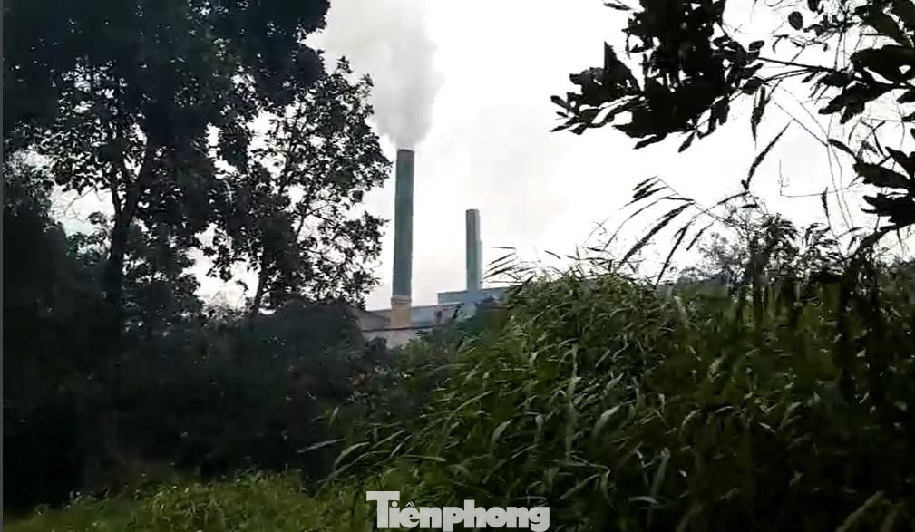 Theo phản ánh của người dân thôn Tân Mỹ, mặc dù Cty đã có khắc phục, nhưng mùi hôi khó chịu, khói vẫn chưa chấm dứt triệt để. “Cty đã nâng 2 ống khói của lò sấy cà phê lên cao hơn, nhưng vẫn chưa xử lý triệt để tình trạng ô nhiễm khói bụi. Gia đình tôi vẫn chịu ảnh hưởng rất lớn từ mùi hôi mỗi lần công ty này hoạt động”, một người dân ở thôn Tân Mỹ cho hay.