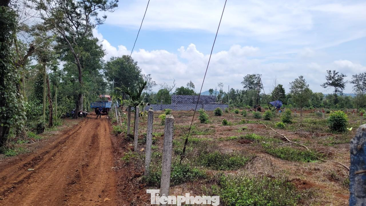 Đóng cọc để phân lô ở khu vực gần hồ Ea Nhái, xã Cuôr Đăng Đóng cọc để phân lô ở khu vực gần hồ Ea Nhái, xã Cuôr Đăng