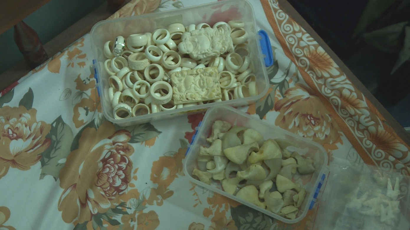 Nhiều trang sức được làm từ ngà voi