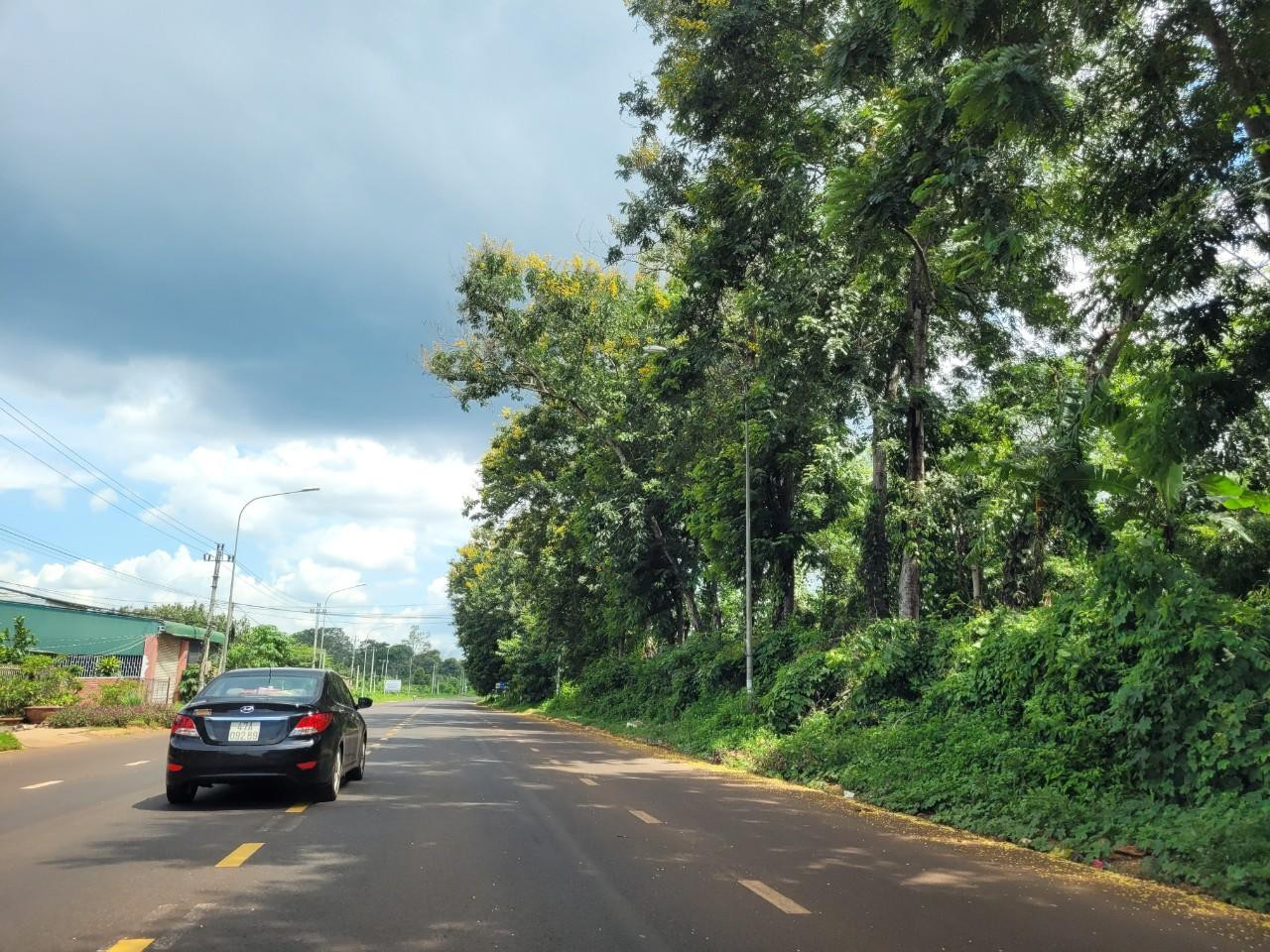 Tỉnh lộ 8 làm xong đã lâu, nhưng chính quyền tỉnh Đắk Lắk "ngâm" tiền đền bù cho 129 hộ dân suốt 10 năm qua