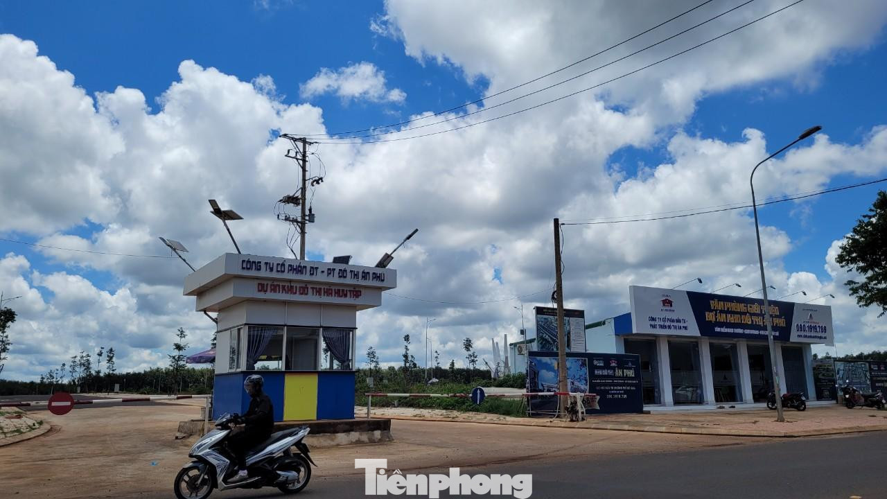 Theo tìm hiểu của Tiền Phong, phần đất UBND tỉnh Đắk Lắk giao Cty Ân Phú có nguồn gốc của Cty Cao su Đắk Lắk-Nông trường 30/4. Mục tiêu của khu đất này để trồng, khai thác, chế biến mủ cao su tự nhiên; đảm bảo mục tiêu vùng đệm cây xanh giữa thành phố Buôn Ma Thuột và Cụm công nghiệp Tân An. Chủ đầu tư cũng chưa làm công trình xử lý nước thải tập trung. Chủ đầu tư được hàng loạt đặc lợi và chỉ nộp ngân sách vài trăm tỷ đồng.