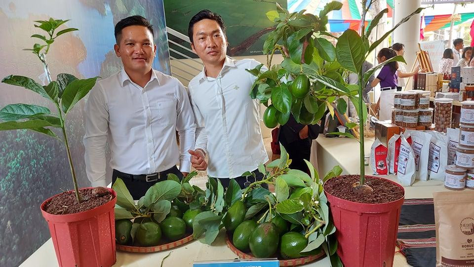 Hợp tác xã bơ Đại Hùng mang sản phẩm bơ đến Hội nghị xúc tiến đầu tư