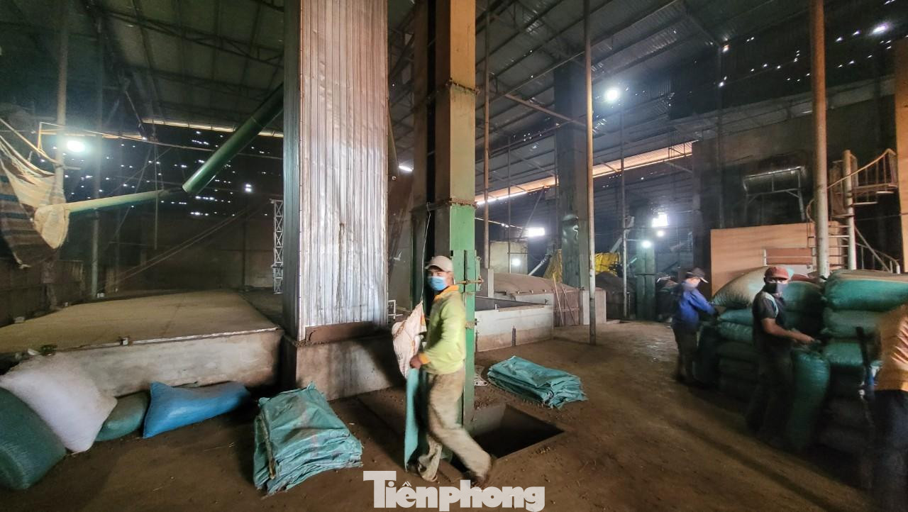 Cũng theo đại diện của Cty Phúc Hạnh, trước mắt công ty đang đàm phán để thuê mặt bằng, hạ tầng của một công ty cà phê có vốn nhà nước, xa khu dân cư. “Nếu cuộc đàm phán này thành công, chúng tôi sẽ đưa toàn bộ hệ thống sấy cà phê ra khỏi khu dân cư này. Phương án lâu dài, chúng tôi mong muốn chính quyền tạo điều kiện cho thuê mặt bằng ở xa khu dân cư, phù hợp quy hoạch để doanh nghiệp di dời toàn bộ nhà máy tới đó được ổn định sản xuất”, Trong ảnh, công nhân Cty đang làm việc.