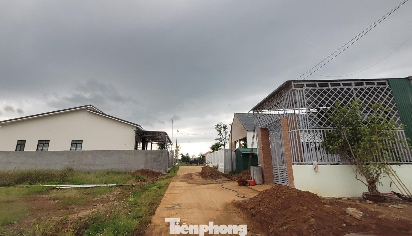 Đường vào khu nhà ông Trịnh Ngọc Nê Đường vào khu nhà ông Trịnh Ngọc Nê