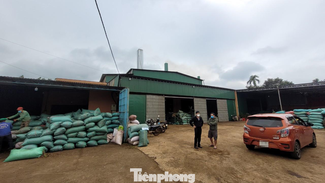 Ngày 8/12, nguồn tin của Tiền Phong cho biết, Cty TNHH Phúc Hạnh (Cty Phúc Hạnh, thôn Tân Mỹ, xã Ea Kênh, huyện Krông Pắk, Đắk Lắk) đã chấp hành nộp phạt 1,5 triệu đồng về hành vi không thực hiện theo đề án bảo vệ môi trường như đã đăng ký.