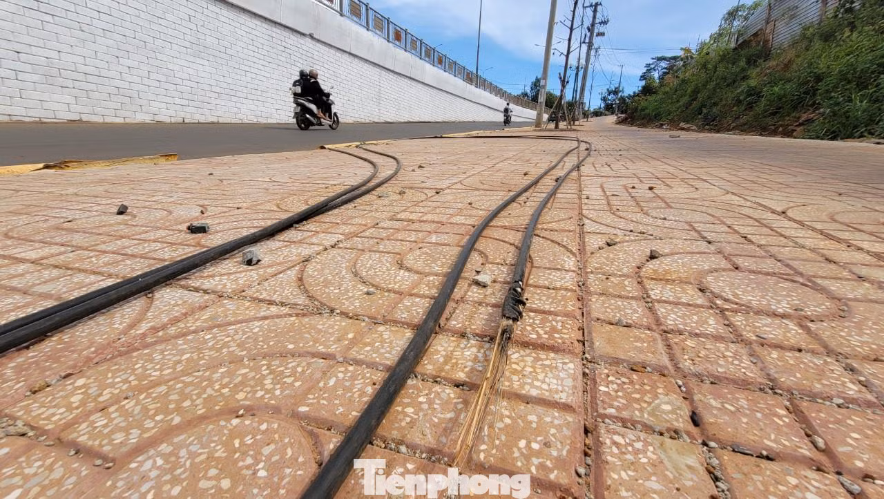 Dây cáp nắm lăn lốc trên đường Dây cáp nắm lăn lốc trên đường