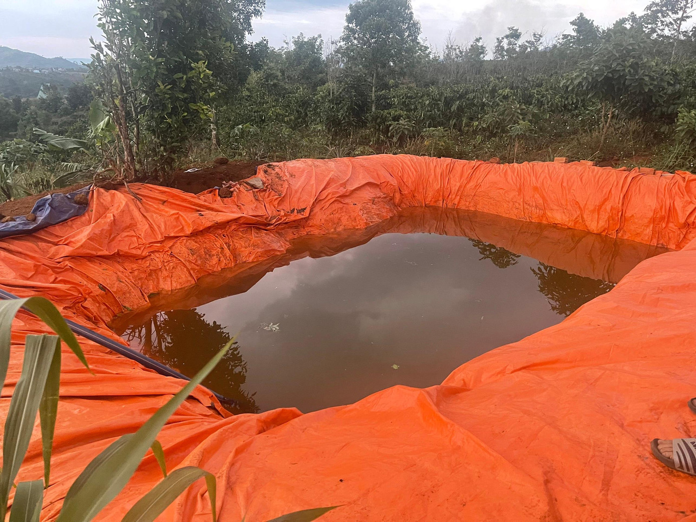 Hồ nước nhỏ, nơi 2 chị em gái bị đuối nước thương tâm Hồ nước nhỏ, nơi 2 chị em gái bị đuối nước thương tâm