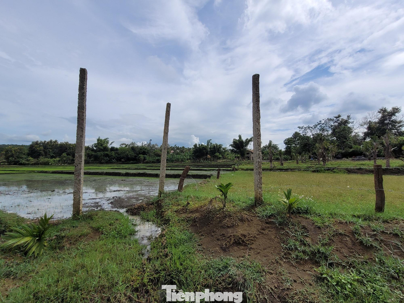 Đóng cọc, giăng dây thép gai rào đất ra tận bờ ruộng Đóng cọc, giăng dây thép gai rào đất ra tận bờ ruộng