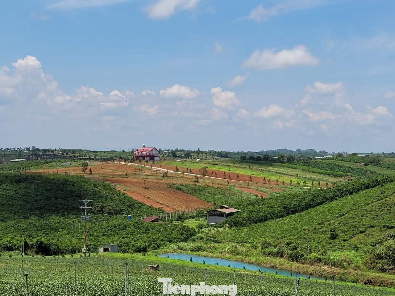 Chủ đầu tư san gạt cả quả đồi với diện tích 36ha như chốn không người. Chủ đầu tư san gạt cả quả đồi với diện tích 36ha như chốn không người.