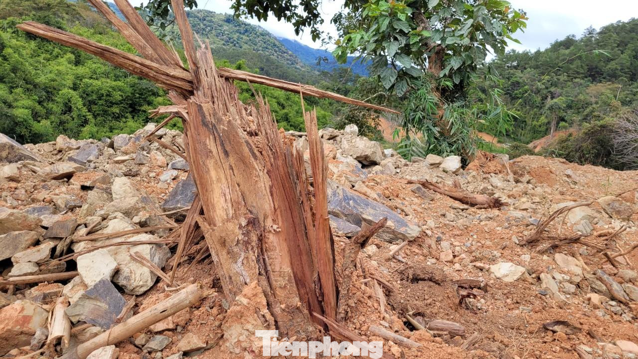 Nhiều cây rừng bị hủy hoại dọc tuyến đường, nhưng đến nay, tỉnh Đắk Lắk và Lâm Đồng chưa xác định được trữ lượng gỗ bị khai thác Nhiều cây rừng bị hủy hoại dọc tuyến đường, nhưng đến nay, tỉnh Đắk Lắk và Lâm Đồng chưa xác định được trữ lượng gỗ bị khai thác