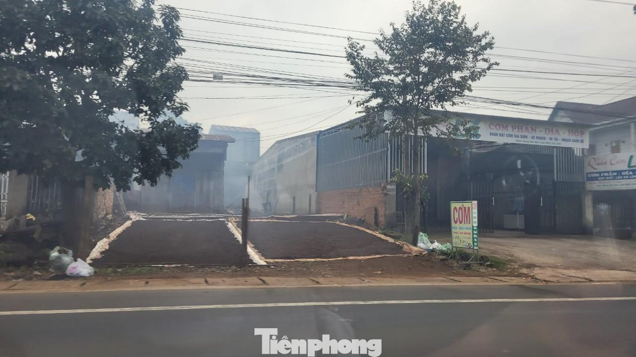 Một cơ sở sấy cà phê đang hoạt động xả khói