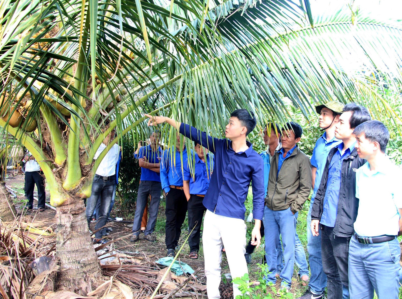 Tham quan mô hình kinh tế của anh Thành ở huyện Cư M'gar Tham quan mô hình kinh tế của anh Thành ở huyện Cư M'gar