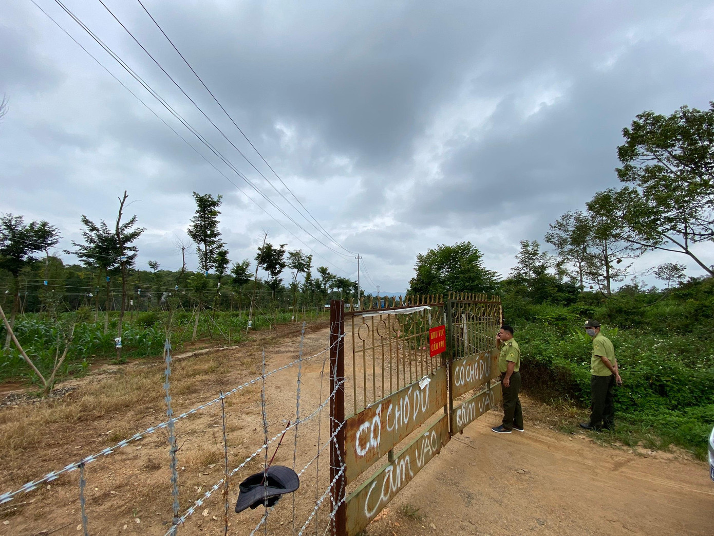Ông Diễn rào dây thép gai gây khó khăn cho lực lượng chức năng vào kiểm tra hiện trạng đất Ông Diễn rào dây thép gai gây khó khăn cho lực lượng chức năng vào kiểm tra hiện trạng đất