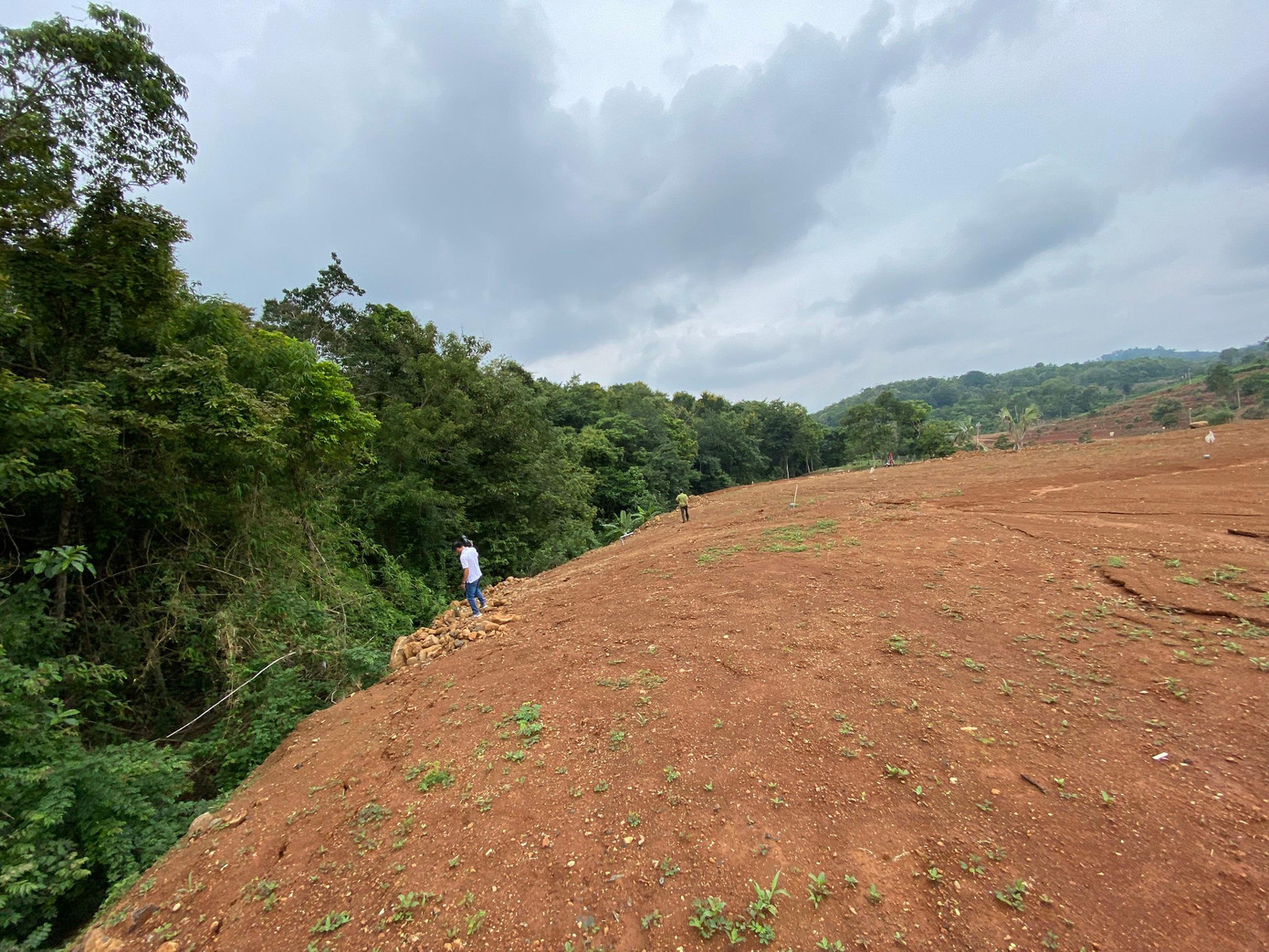 Ông Diễn đã san gạt với diện tích đất lớn gần khu vực rừng Ông Diễn đã san gạt với diện tích đất lớn gần khu vực rừng