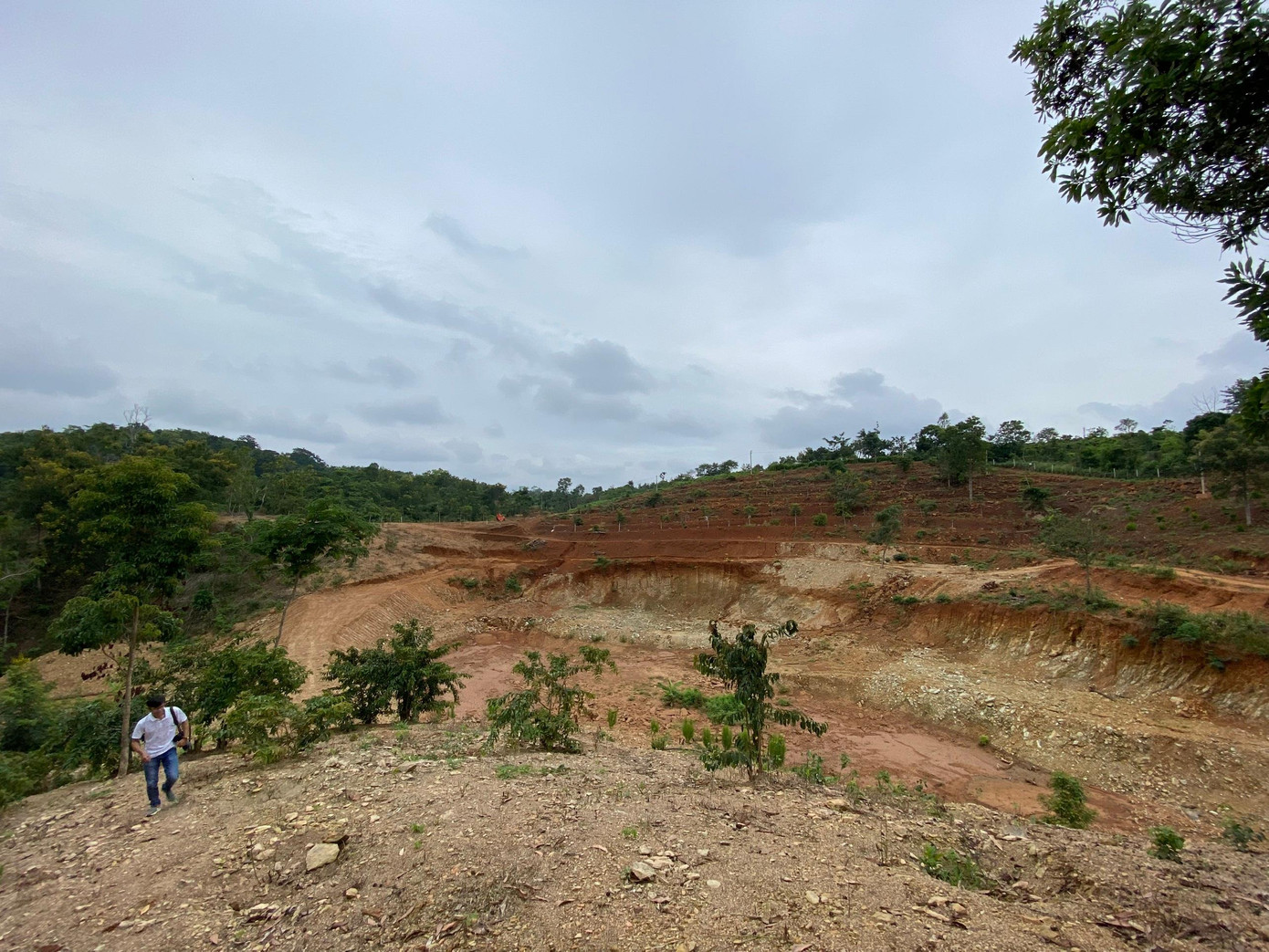 Khu vực đất của ông Diễn ở thôn 6, xã Hòa Thắng Khu vực đất của ông Diễn ở thôn 6, xã Hòa Thắng