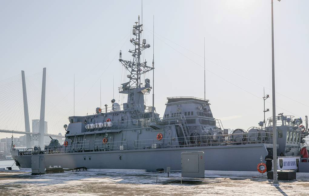 Tàu quét mìn Anatoly Shlemov của Hải quân Nga. (Ảnh: Tass)