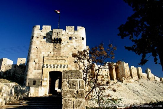 Lâu đài Malbork nổi tiếng nhất Ba Lan rộng 143.591 m2, được xây hoàn toàn bằng gạch theo phong cách kiến trúc Gôtích lớn nhất thế giới. Mehrangarh Fort rộng 81.227 m2, một pháo đài hàng nghìn năm tuổi tại Ấn Độ. Bao quanh là bức tường kiên cố có chiều dày 6m, bên trong là cung điện nguy nga với kiến trúc tinh xảo. Tại đây, bạn có thể thấy nhiều hiện vật lịch sử của những vị vua. Prague Castle rộng 66.761 m2 là lâu đài thời trung cổ lớn nhất ở châu Âu và là nơi ngự trị cổ xưa của các vị vua Séc trong suốt các thời đại. Đây là quần thể các tòa nhà, cung điện, thánh đường lộng lẫy và được xem là biểu tượng của cộng hòa Séc. Windsor Castle rộng 54.835 m2, là lâu đài lớn nhất, lâu đời nhất thế giới và là niềm tự hào lịch sử nước Anh. Lâu đài Hohensalzburg rộng 54523 m2 nằm tại thành phố Salzburg, Áo. Spis Castle rông 49485 m2 là một trong những lâu đài thời Trung cổ lớn nhất ở trung tâm châu Âu, tại miền đông Slovak Buda Castle rộng 44.674 m2 là lâu đài lịch sử của các vị vua Hungary tại Budapest. Himeji Castle rộng 41.468 m2 nằm ở trung tâm của thành phố Himeji, Nhật Bản. Thành cổ Aleppo rộng 39.804 m2, được coi là niềm tự hào của sa mạc, thành cổ Aleppo là một trong những lâu đài nổi tiếng nhất trong thế giới Ả Rập.