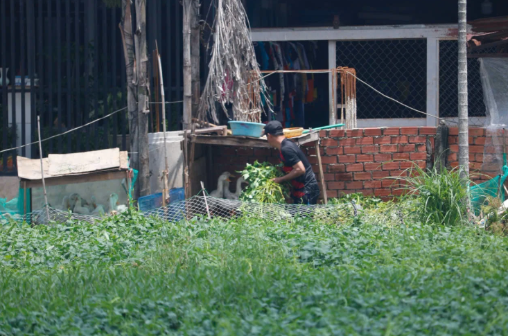 Xung quanh toàn nước bao quanh khiến cuộc sống nhiều hộ dân nơi đây gặp nhiều khó khăn. Ảnh: Chinh Hoàng