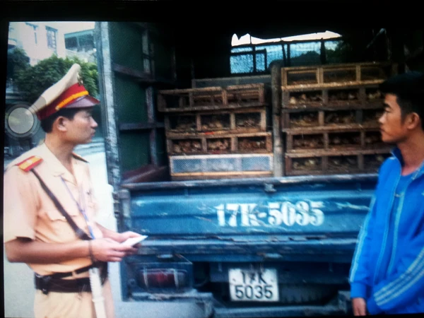 CSGT kiểm tra các xe trở gà