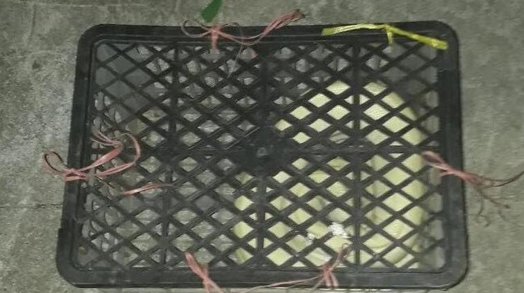 Con trăn được nhốt vào lồng bàn giao cho lực lượng kiểm lâm.