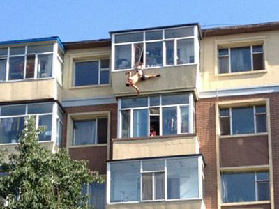 Vụ việc xảy ra tại thành phố Trường Xuân, tỉnh Cát Lâm, đông bắc Trung Quốc vào sáng 31/7