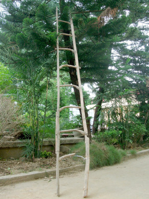 Thang tre Bác Hồ ở Lán Khuổi Nặm 1941