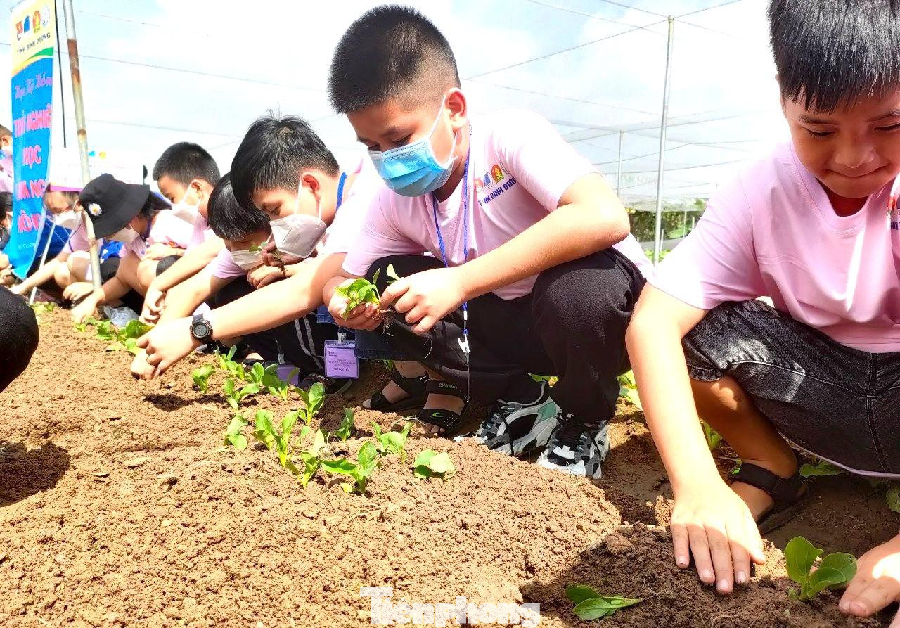Thiếu nhi được trải nghiệm tại trang trại nông nghiệp sạch