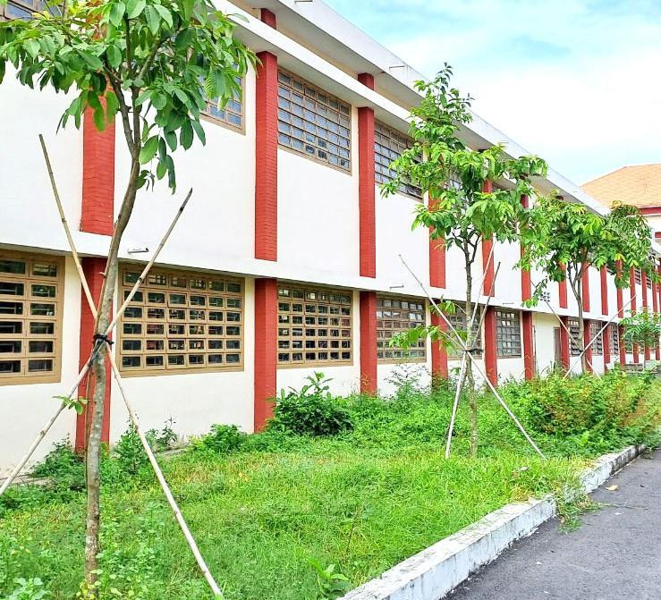 Hiệu trưởng trường THPT Võ Minh Đức bỏ tiền mua các cây về trồng để bù đắp vì đã thanh lý 4 cây do cựu học sinh trồng tặng Hiệu trưởng trường THPT Võ Minh Đức bỏ tiền mua các cây về trồng để bù đắp vì đã thanh lý 4 cây do cựu học sinh trồng tặng