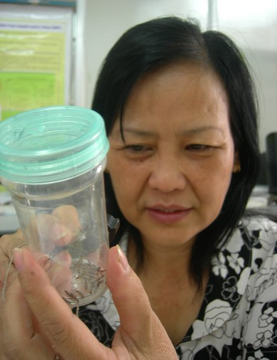 Tiến sĩ Phạm Thị Khoa, Khoa Hóa thực nghiệm, Viện Sốt rét-Ký sinh trùng-Côn trùng Trung ương